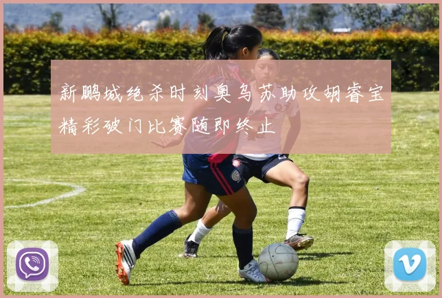 新鹏城绝杀时刻奥乌苏助攻胡睿宝精彩破门比赛随即终止