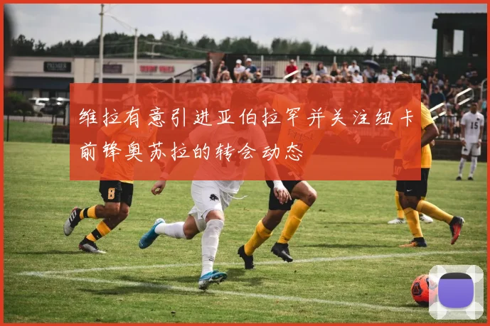 维拉有意引进亚伯拉罕并关注纽卡前锋奥苏拉的转会动态