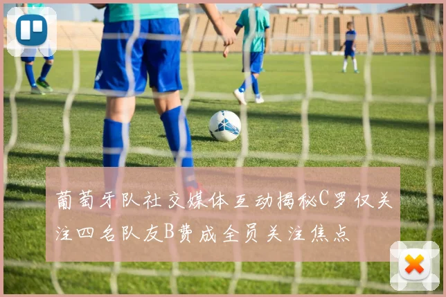 葡萄牙队社交媒体互动揭秘C罗仅关注四名队友B费成全员关注焦点